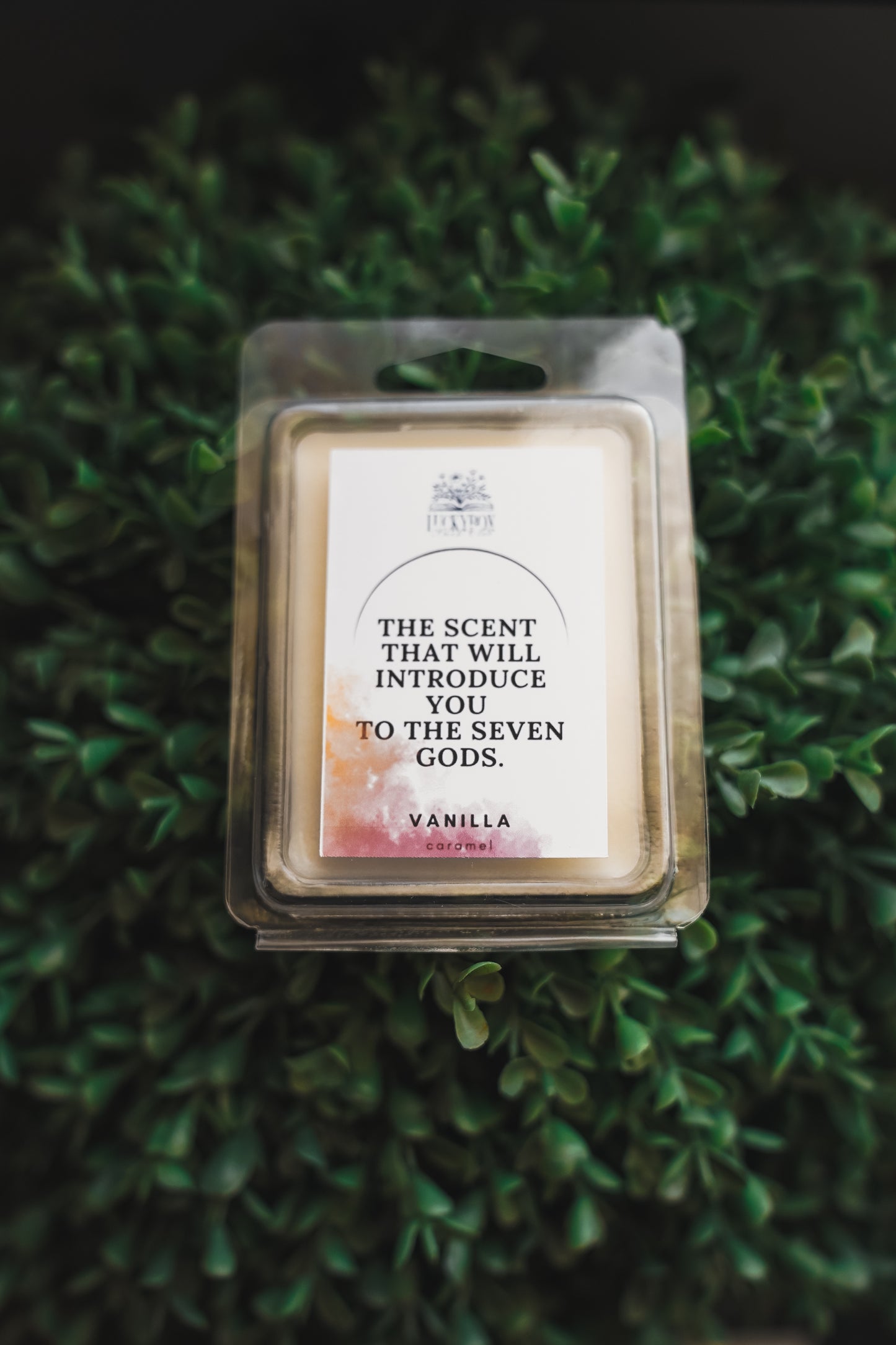 Soy Wax Melts