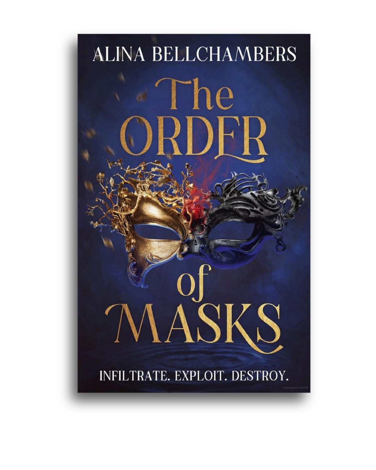 THE ORDER OF MASKS by Alina Bellchambers